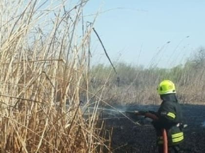 В Астраханской области участились случаи возгорания камыша