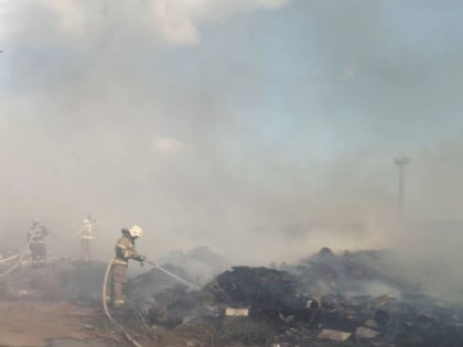 Мусор горит на площади 800 кв. метров в Астраханской области