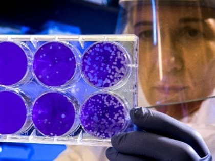 В России выявили второй случай заболевания «кракеном»