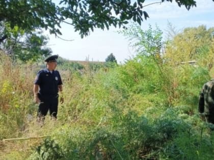 В Астраханской области подведены итоги второго этапа операции «Мак-2023»