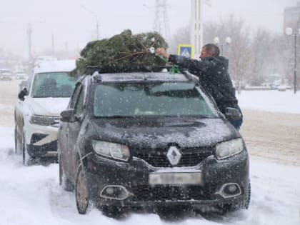 Снег будет валить беспрестанно на Новый год в Астрахани