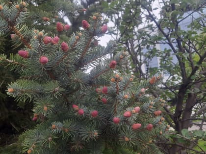 Прогноз погоды, именины, праздники в Астрахани в воскресенье 7 мая