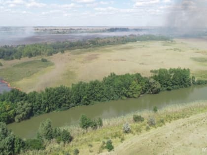 Пожар в Астраханском заповеднике ликвидирован