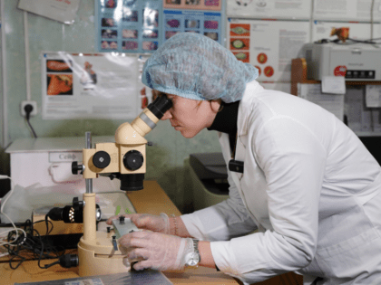 Астраханцам назвали риски приобретения рыбы «с земли»