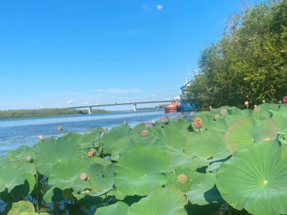 Погода, праздники, именины в среду 20 сентября