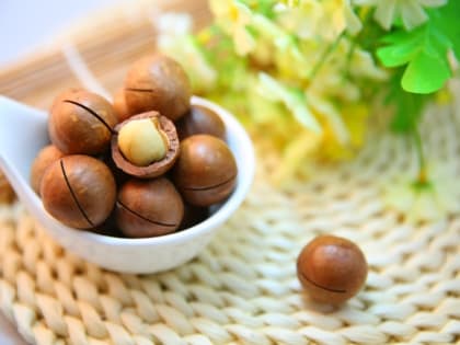 Кому может навредить макадамия