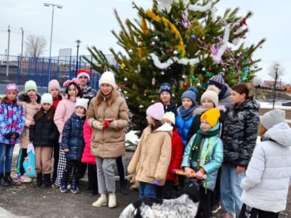 В первые январские дни в Астрахани вандалы жгли мусорные баки и сломали новогоднюю елку в сквере
