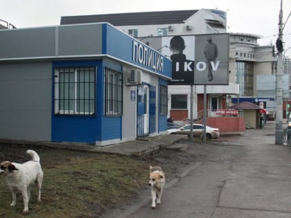 Астраханские управления МВД и ФСИН: важное из доклада омбудсмена