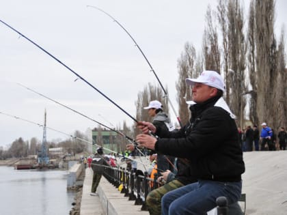 Воблу в Астраханской области разрешат ловить только в определенные дни недели и в очень ограниченном количестве