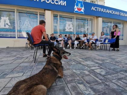 В Штабе общественной поддержки уверены, что собака - друг человека