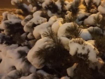 В Астраханской области 13 февраля будет снег и до -7 градусов