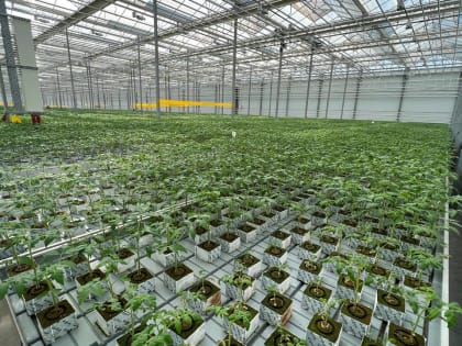 Как санкции повлияли на одно из крупнейших астраханских предприятий