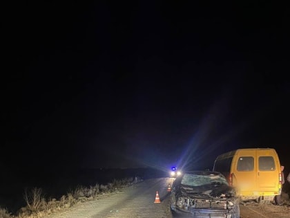 В Астраханской области произошло ДТП с участием лошади