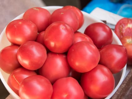 Современные технологии в аграрном бизнесе