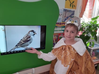 Международный день птиц отметили маленькие приволжане