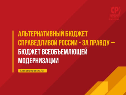 Мария Лиджиева выступила против принятия федерального бюджета