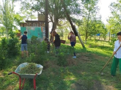 Заработал "Зелёный патруль"