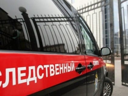 Двоих астраханцев подозревают в краже