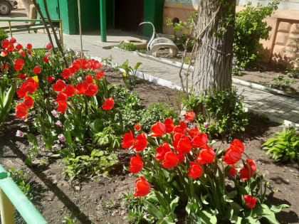 Прогноз погоды, именины, праздники в Астрахани в среду 19 апреля