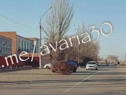 Кусты нападают на астраханских водителей