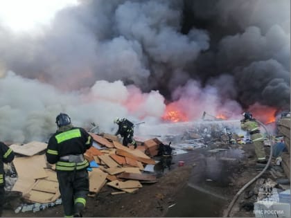 Пожарные ликвидировали открытое горение мусора в Астраханской области