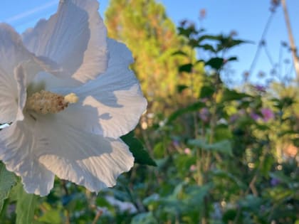 Прогноз погоды, именины, праздники в Астрахани в среду 9 августа