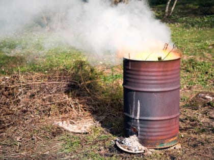 Для россиян поменяли правила сжигания мусора на даче