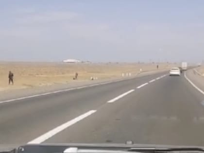 В Астрахани полицейские выстроились живой цепью и искали что-то в степи