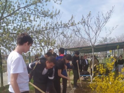 Педагоги и ученики школ Приволжского района продолжают проводить экосубботники