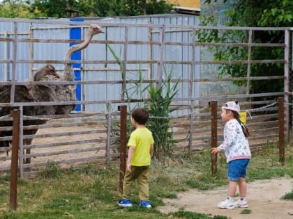 Юные астраханцы покормили коз и осликов в эколого-биологическом центре