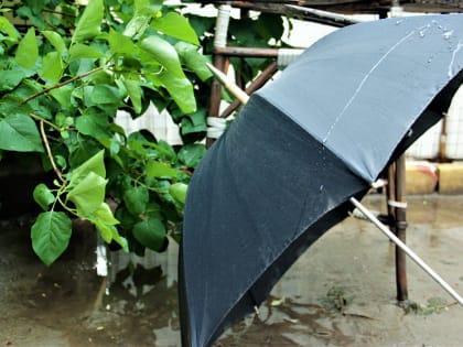 Будет ли дождливо: стала известна погода в Астрахани на 9 мая