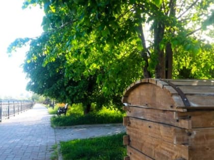 26 апреля в Астраханской области будет жарко и ветрено