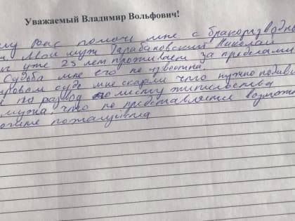 Астраханка просит Владимира Жириновского развести их с мужем