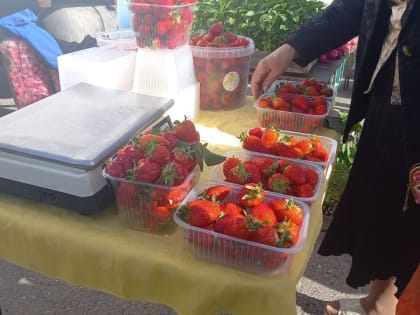 Станет ли клубника деликатесом на фоне нехватки урожая