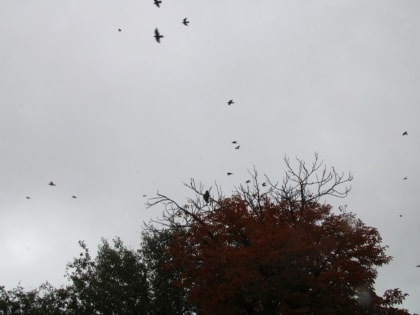 Погода сильно изменится в Астрахани 