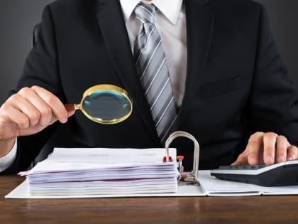 Как работает налоговый мониторинг