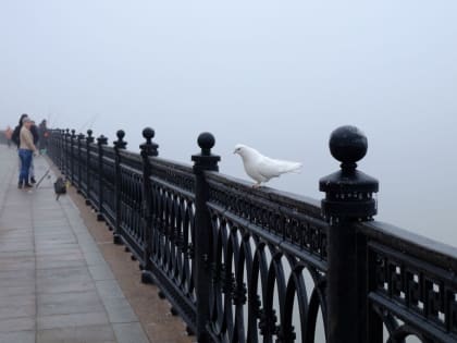 Астраханский центр по борьбе с коронавирусом объявил новые меры