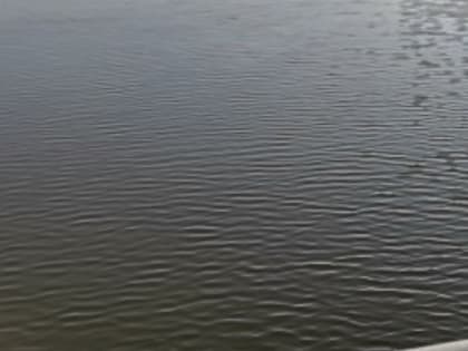 Трагедия на реке Борисовка: утонул турист из Подмосковья