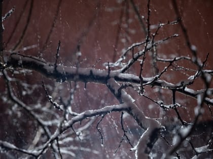 Снежная неделя ожидает астраханцев с 23 января