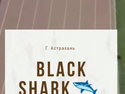 В Астрахани пройдет спортивно-семейный фестиваль «Black Shark»