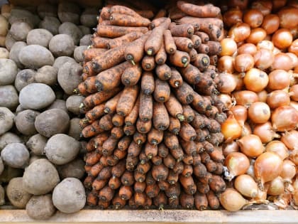 Почему в Астраханской области дорожают капуста и морковь