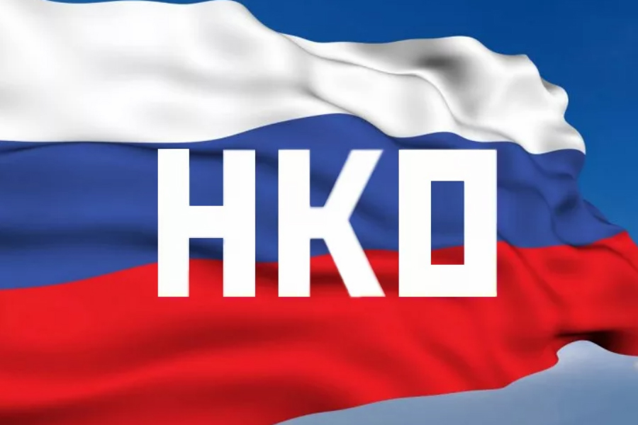 Лучшие нко. НКО. НКО картинки. Поддержка НКО. НКО РФ.