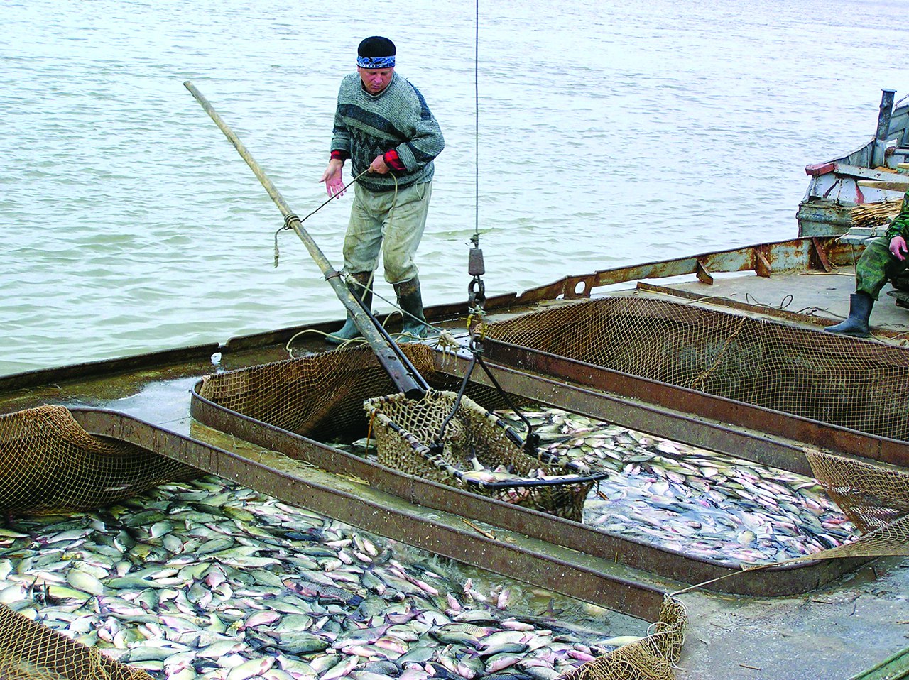 Какой промысел был распространен в районе астрахани. Рыбный промысел Астрахань. Рыбная промышленность Астраханская. Рыбный промысел в Астраханской области. Астраханский рыбный промысел, Астрахань.