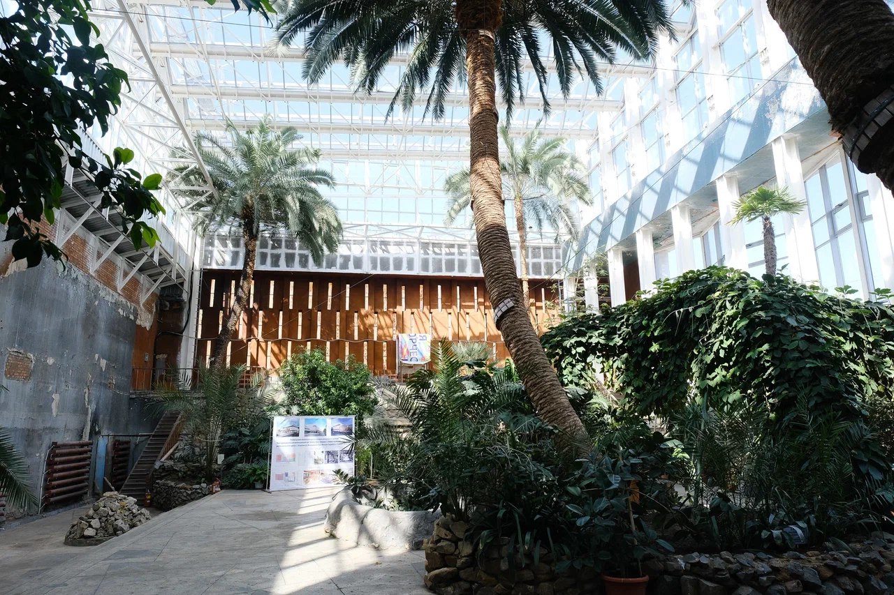 астрахань кинотеатр октябрь зимний сад. астрахань октябрь 2023. астрахань октябрь 2023. астрахань октябрь 2023. кинотеатр орбита москва после реконструкции.