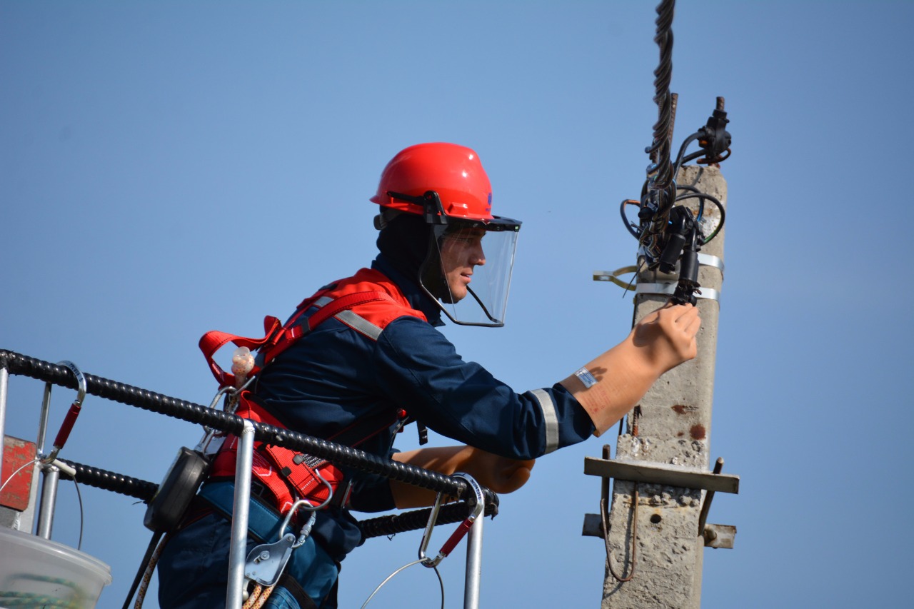 Россети юг. Электросети онега. Дерево на вл 110 кв. Опоры лэп зима. Электросети астрахань.