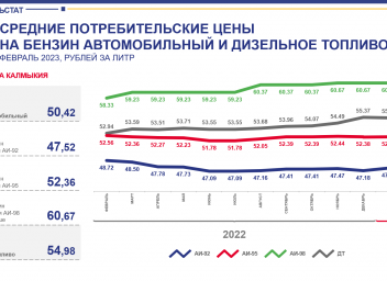 Республика калмыкия индекс. Динамика цен. График стоимости бензина в России. Динамика цен на бензин в 2022 году. График цен на бензин в России 2022 году.