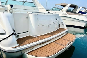 Sea Ray Sundancer - view 2