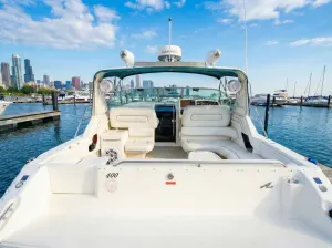 Sea Ray Express - view 2