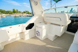 Sea Ray Express - view 4