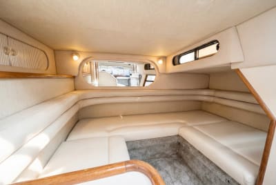 Sea Ray Sundancer - view 6